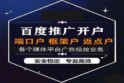 案例分享：百度竞价广告投放案例